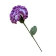 thumbnail image 1 of Regalos de cumpleaños de clavel de flor de ganchillo artificial, para San Valentín aniversario de boda cumpleaños regalos de citas únicos Vhermosa, 1 of 6