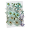 thumbnail image 1 of Juego de hojas de flores prensadas secas reales mezcladas múltiples para adornos de maquillaje. Azul claro, 1 of 9