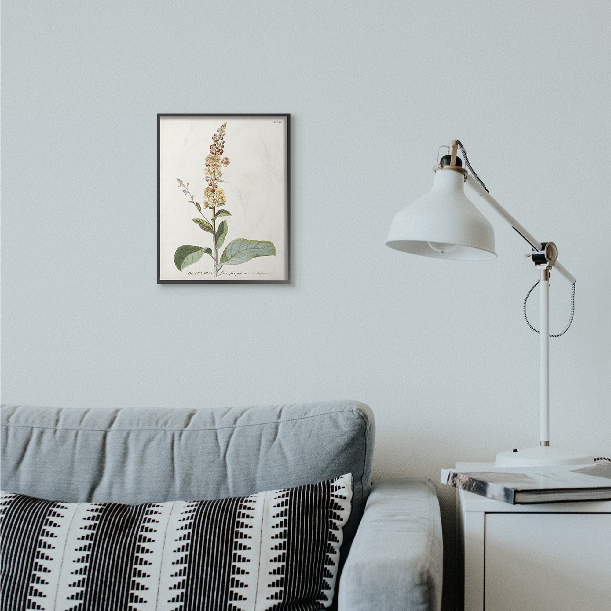 Stupell Industries Botanical Plant Illustration Flowers Vintage Design Framed Wall Art by Unknown