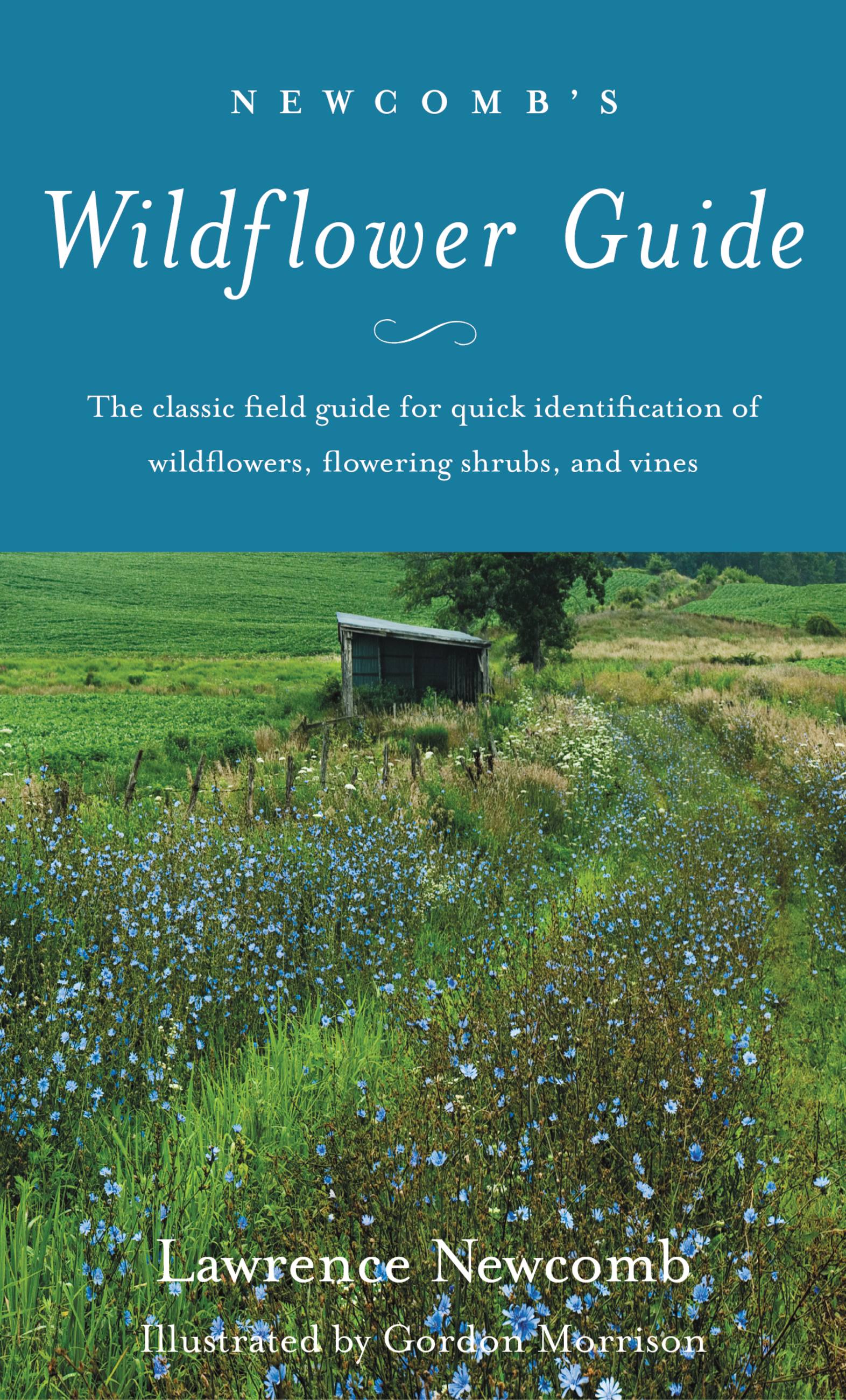 Newcomb s Wildflower Guide Paperback Walmart Walmart newcomb-s-wildflower-guide-paperback-walmart-walmart