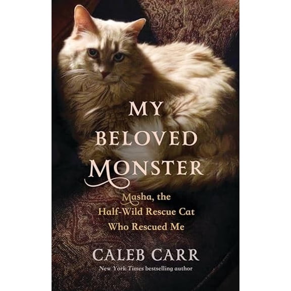 Pre-Owned My Beloved Monster: Masha, the Half-Wild Rescue Cat Who Rescued Me, (Hardcover)