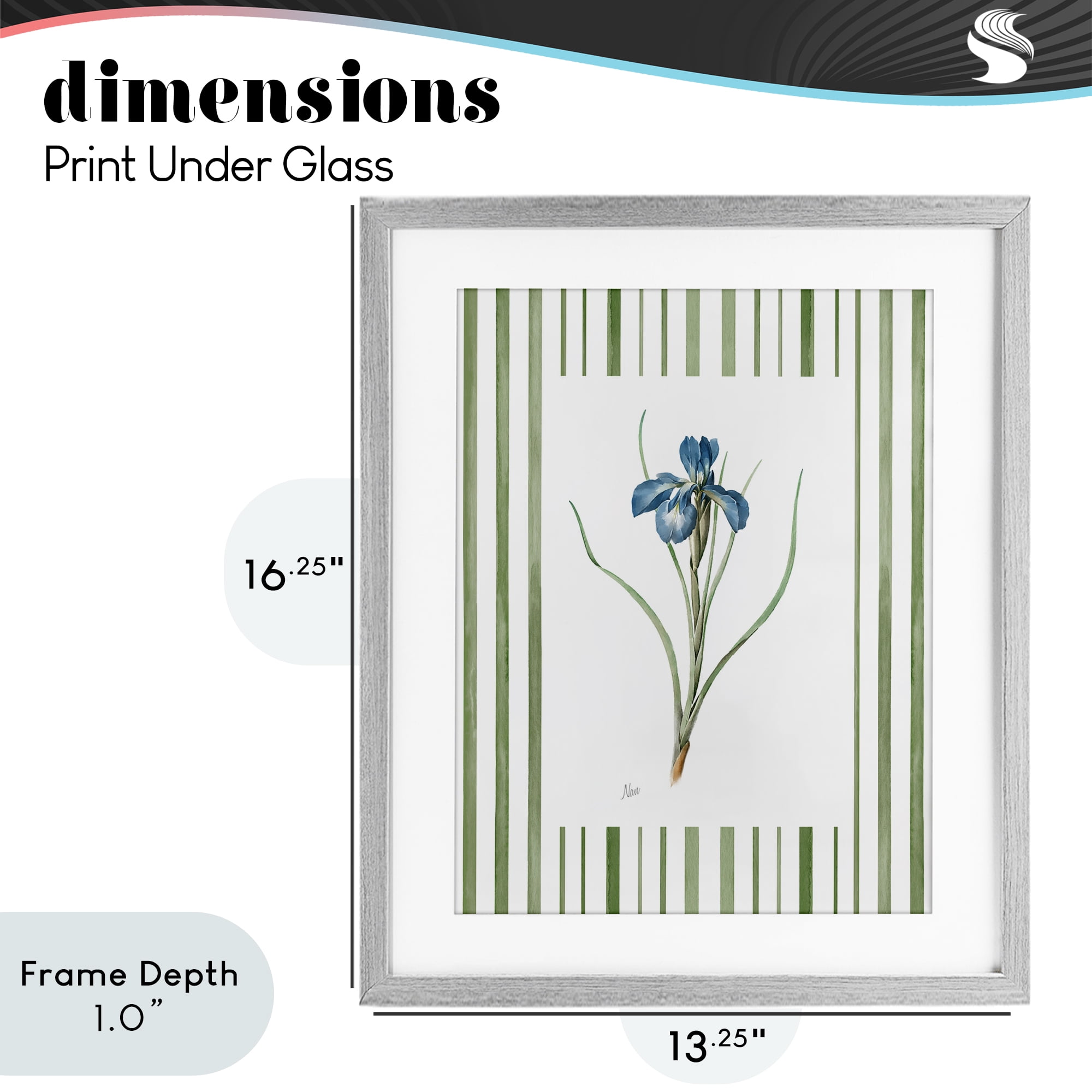 Stupell Industries Spring Iris And Stripes Gray Framed Print Under Glass, design by Nan