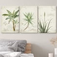 thumbnail image 3 of wall26 Canvas Print Wall Art Set Victorian Style Tropical Plants &amp; Insects Nature Floral Illustrations Realism Rustic Scenic Colorful Wilderness for Living Room, Bedroom, Office - 16"x24&quo, 3 of 5