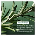 thumbnail image 6 of Biolage Full Rescue Shampoo Liter / 33.8 oz | For Breaking, Falling Hair, 6 of 9