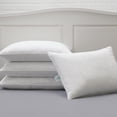 thumbnail image 3 of Cozy Clouds Sweet Slumber MicronOne Allergen Barrier King Pillow, 2 pack, 3 of 3