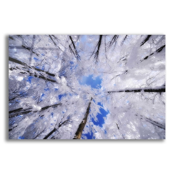 Epic Art 'Turn Carousel' by Philippe Sainte-Laudy, Acrylic Glass Wall Art, 16"x12"