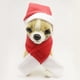 thumbnail image 5 of Gorro de Papá Noel para Perro, Lindo Disfraz de Navidad para Mascotas de Papá Noel para Perros y Mascotas, Bufanda con Gorro de Papá Noel para Mascotas, máxima confiabilidad Jadeshay A, 5 of 8