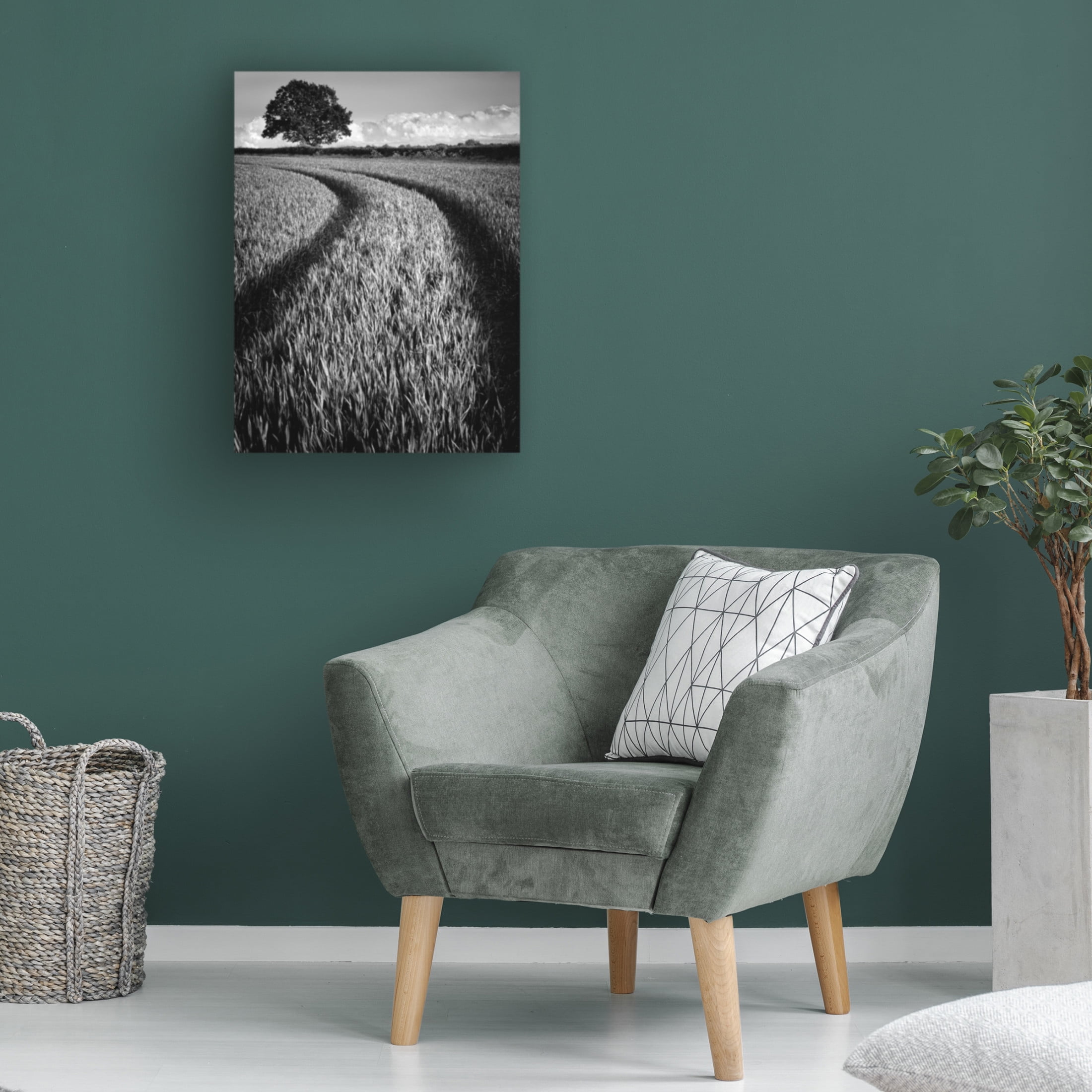 Trademark Fine Art Russell Jones Davies Tree at sunset Canvas Wall Art