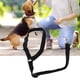 thumbnail image 5 of Cinturón de seguridad para perros cinturón de seguridad duradero y resistente para proteger a las mascotas ANGGREK Otros, 5 of 8