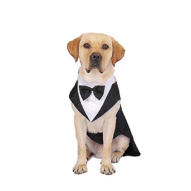 Esmoquin para perros Yashi traje para mascotas traje para fiesta de bodas S