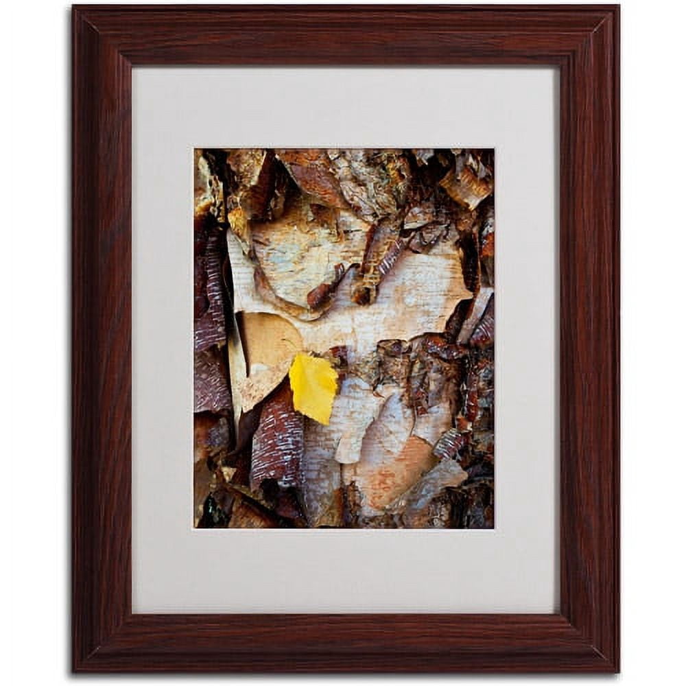 Trademark Fine Art "Birch Leaf" Canvas Art by Kurt Shaffer, Wood Frame