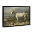 thumbnail image 2 of Stupell Industries Rustic Lodge Grey Horse And Ducks In Landscape Black Floating Frame Canvas Art, 31 x 21, by Tina LeCour, 2 of 8