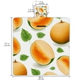 thumbnail image 2 of Cantaloupe Canvas Picnic Mat Waterproof Beach Blanket Sandproof Outdoor Camping Rug Foldable Compact Lightweight Portable Mat for Travel Hiking Park Grass 60"x80", 2 of 6