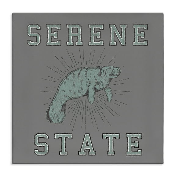 Stupell Industries Serene State Manatee Animals Painting Wrapped Canvas Art Print Wall Art, 17 x 17