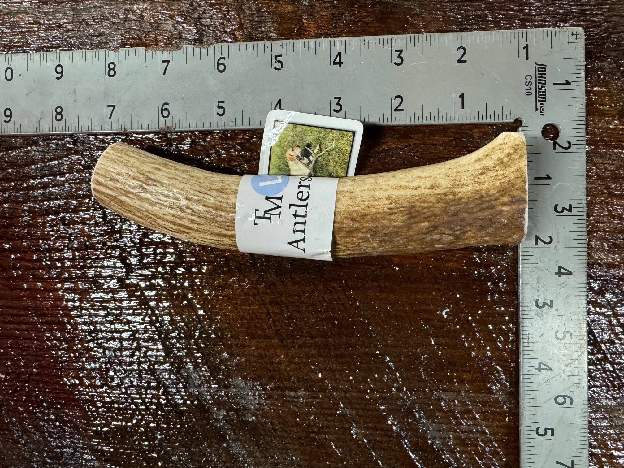 TM Antlers Large Whole Elk Dog Chew – Durable, Naturally Shed Treat for Medium & Large Dogs (Whole: 6”-8”, Large, 1-Pack)