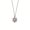 Steel color with a paw print, variant on Pet-Inspired Paw Print Necklace: Personalized Stainless Steel Engravable Pendant – Customize with Your Name or Your Pet’s Name