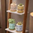 thumbnail image 5 of 4 Sets Boho Pots Succulent Pot Modern Sun Ceramic Flower Planter Pot with Bamboo Tray for Indoor Plants, Aloe, Cactus, Home Office Decor(B), 5 of 6