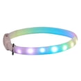 thumbnail image 1 of Dog Safety Collar, LED Dog Collar Rechargeable  for Puppy, 1 of 7