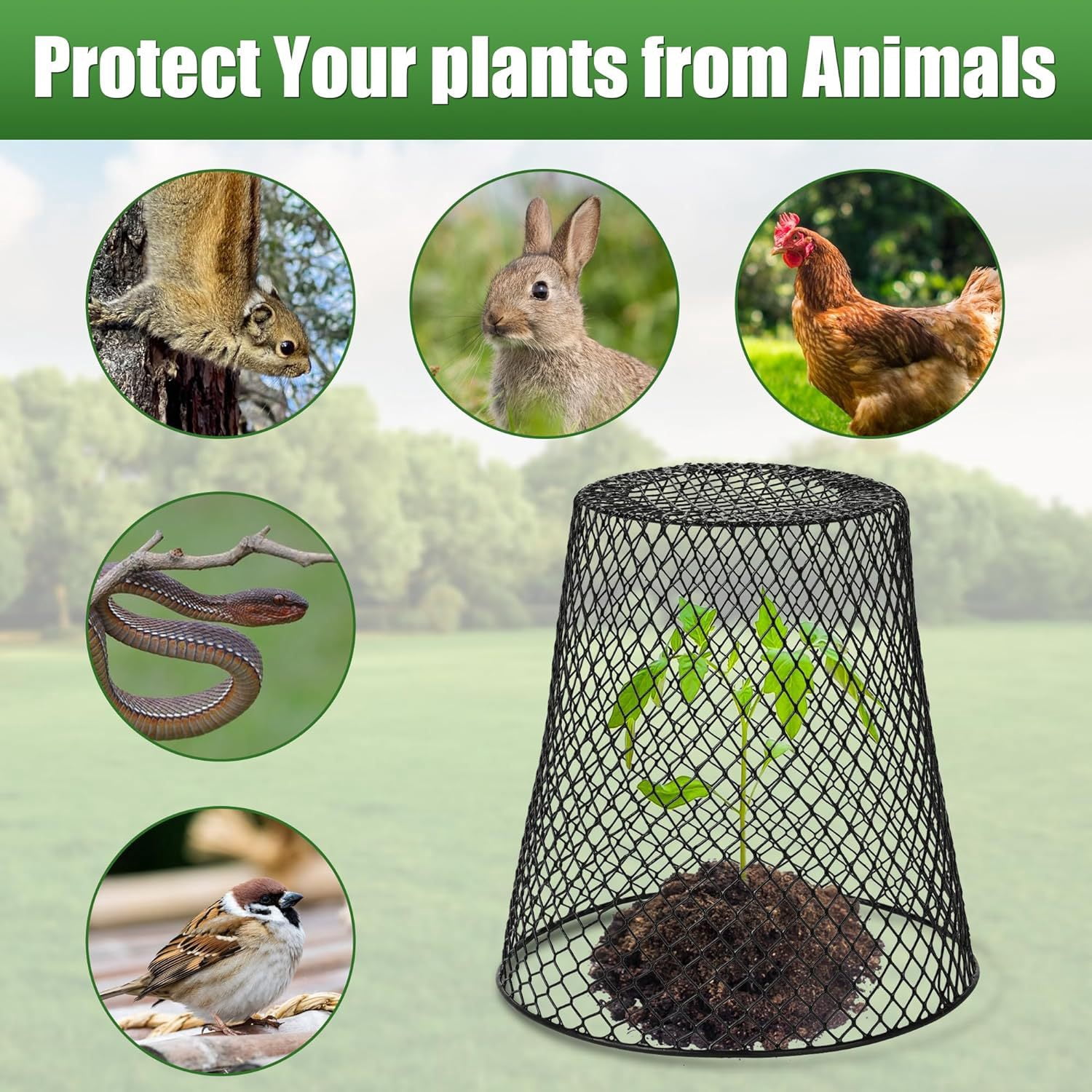 Nvzi -b 10 plant protectors cover metal garden protection cover dome, used for plant wire protection basket, with garden wooden stake plant cage (black)