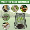 thumbnail image 2 of Nvzi 1 cubierta protectora de plantas,cubierta tipo cúpula, utilizada para canasta de protección de alambre para plantas, con jaula para plantas con estaca de madera para jardín (negra), 2 of 5