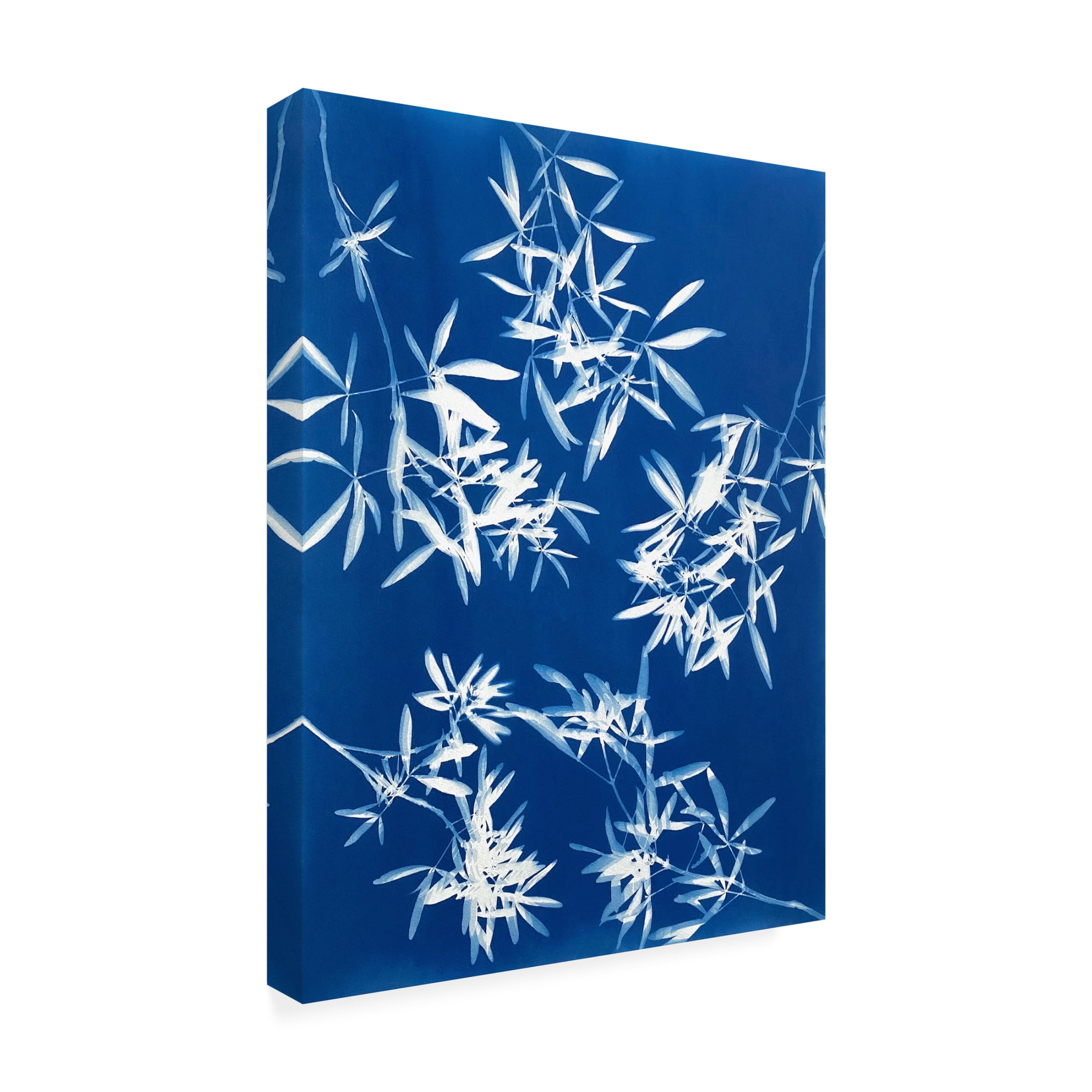 Canvas Wall Art - Christine So 'Light through Leaves 1' Wall Art for Living Room, Bedroom, or Office Décor by Trademark Fine Art - 18 x 24 Inches