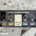 thumbnail image 6 of Bulbrite 861746 15W Led PAR38 3000K 80CRI Basics Flood Wet Dimmable Light, Pack of 4, 6 of 7