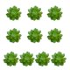 thumbnail image 2 of 10 Piezas de suculentas falsas Advancent Flores artificiales tipo 15 PVC, 2 of 6