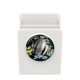 thumbnail image 1 of Ocean Fish coral Science Nature Picture Estuche de escritorio, 1 of 4