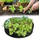 thumbnail image 1 of Cultivo De Plantas De Fieltro Macetas De Plantas De Fieltro Contenedores De Cultivo De Vegetales Duraderos Reutilizables Para Patio De Terraza Minnieouse HA039822-04, 1 of 6