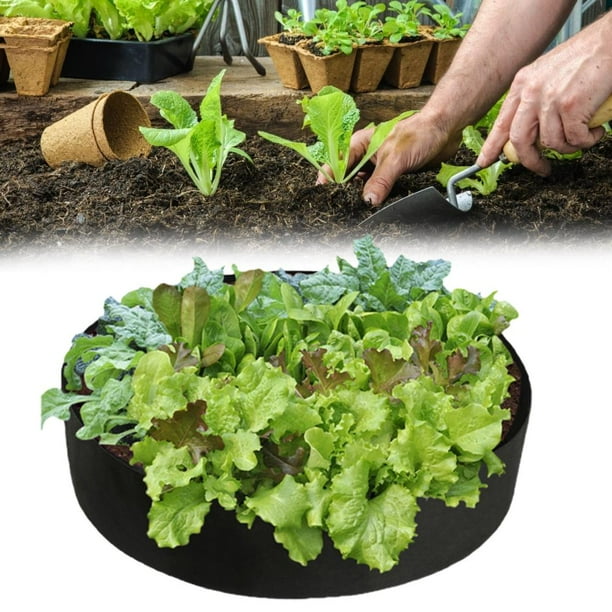 Cultivo De Plantas De Fieltro Macetas De Plantas De Fieltro Contenedores De Cultivo De Vegetales Duraderos Reutilizables Para Patio De Terraza Minnieouse HA039822-04