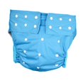 thumbnail image 2 of Bunblic Culotte pour Incontinence pour Adulte, Imperméable, Protection contre les Fuites, Séchage Rapide, Couvre-Couche Réutilisable, Couvre-Couche pour Personnes Âgées, Bleu Pâle, 2 of 8