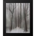 thumbnail image 2 of Depaepe, Yvette 20x24 Black Modern Framed Museum Art Print Titled - Winter Walz, 2 of 5