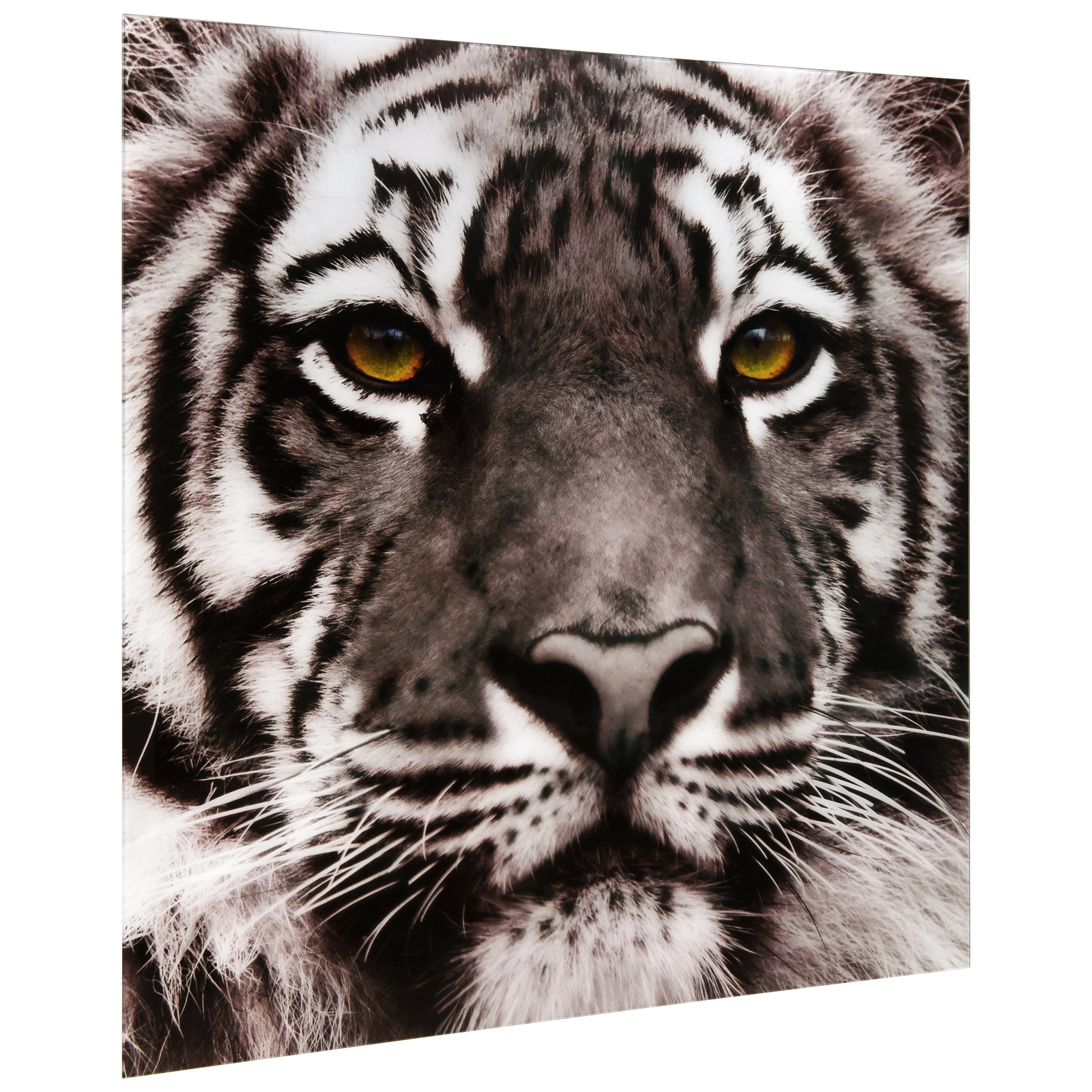 Empire Art Direct Eye of the Tiger Frameless Free Floating Tempered Glass Panel Graphic Wall Art, 38" x 38" x 0.2", Ready to Hang