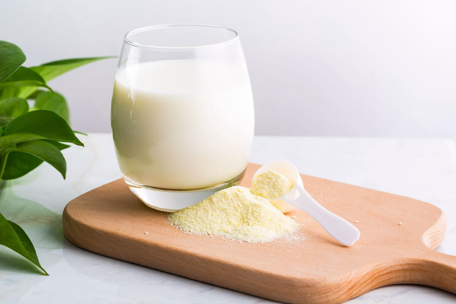 Premium Nonfat Dry Milk - 5 Pound Bag Bulk