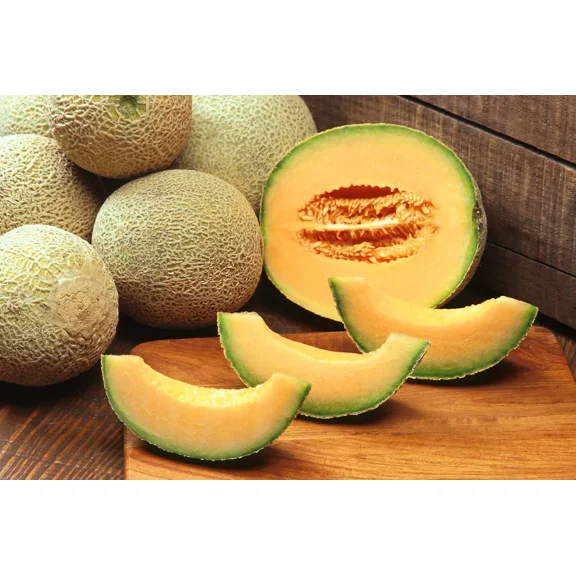 125 Hale's Best Jumbo Cantaloupe Seeds - Non-GMO Heirloom Cantaloupe - Fast!