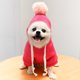 thumbnail image 1 of Gato Suéter Transpirable Lavable Perro Suéter Ropa Suministros para mascotas (Rose Red M) Ndcxsfigh Para estrenar, 1 of 8