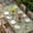 Green, variant on Beige Floral Table Cloths for 4 Foot Rectangle Tables, Vintage Spring Botanical Flowers Patio Waterproof Elastic Fitted Tablecloths, Washable Rectangular Table Cover for Camping