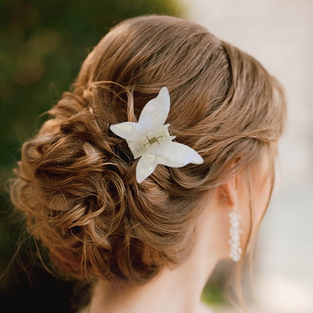Pinzas para el cabello para mujeres, pinzas para peinar, pinzas para el cabello para niñas, pinzas para el cabello de color francés, pinzas para el cabello, horquillas