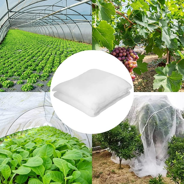 8'x20' Mosquito Netting for Patio, ?KSCD Garden Netting Pest Barrier, Mesh  Net Against Bugs & Birds, Screen Mosquito Insect Protect Vegetables Flowers  Plants (White) -- 