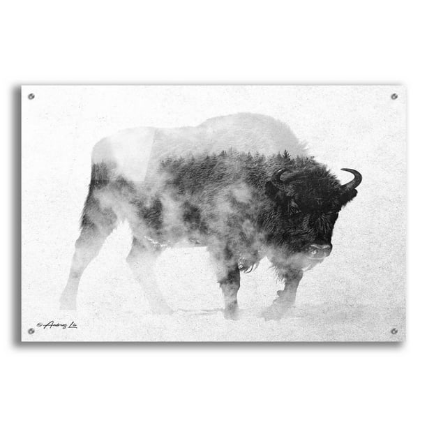 jomfru Overtræder glans Epic Art 'Black & White Buffalo' by Andreas Lie, Acrylic Glass Wall Art,  36"x24" - Walmart.com