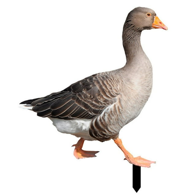 Duck Decor Realistic Life-like Ornamental Double-sided Printing Rustic Acrylic Garden Poultry Statue for Yard