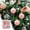 Pink, variant on VAJUSO 2.36" Flocked Christmas Balls Ornaments Glitter Plastic Baubles Decorative Hanging Set of 4 Xmas Tree Holiday Party Seasonal Decoration Accessories Black