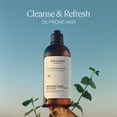 thumbnail image 5 of L'Occitane Shampoo Frescura y Aromacolog&iacute;a 500ml, 5 of 5