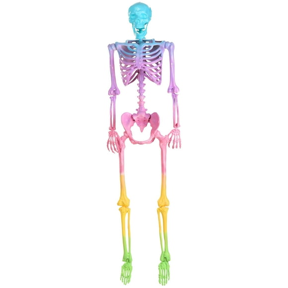 Crazy Bones Poseable Skeleton in Rainbow