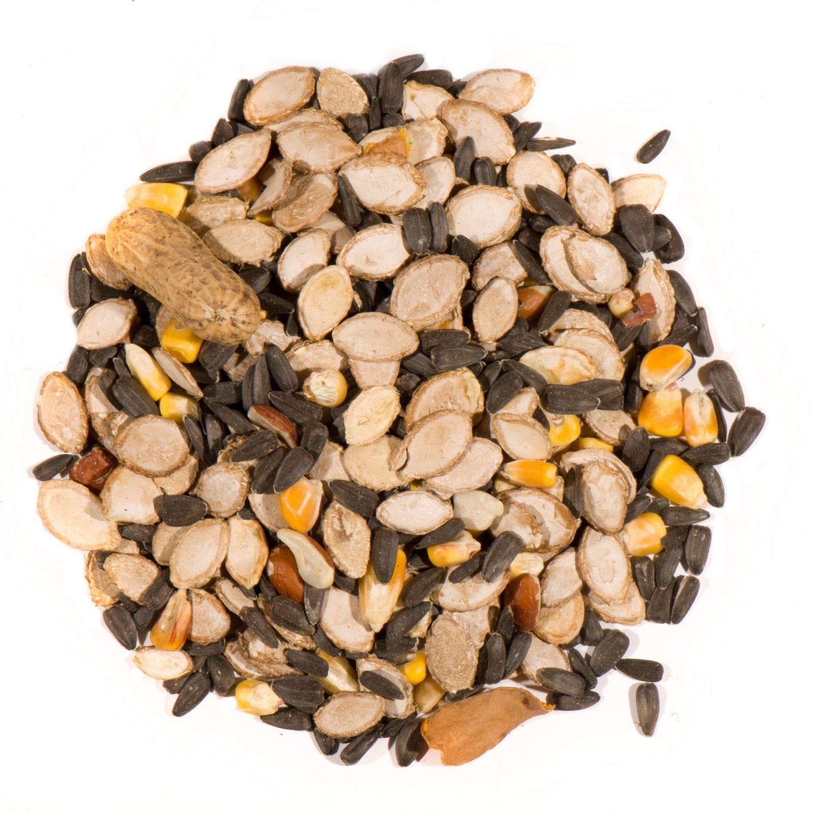 BACKYARD WILDLIFE DIET