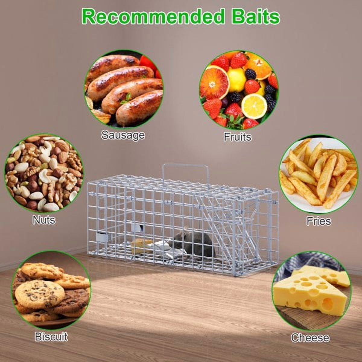 imerelez 2-Pack Humane Mouse Traps – Instant-Lock One-Way Door, 2 mm Galvanized Metal, Safe for Kids & Pets, Indoor/Outdoor Reusable Catcher, Easy-Set & Release