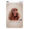 thumbnail image 1 of Irish Red Setter Dog Breed Home Business Office Sign, 1 of 4