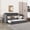 Dark Gray, variant on Noble House Eleanor 82" Twin Velvet Upholstered Daybed with Trundle, Tufted Wingback Sofa Bed with USB, Dark Gray