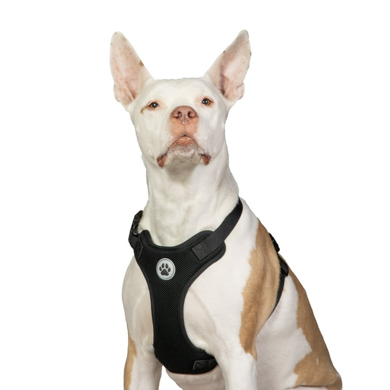 Vibrant Life Mesh Adjustable, Reflective Dog Walking Harness Vibrant Life Mesh Adjustable, Reflective Dog Walking Harness