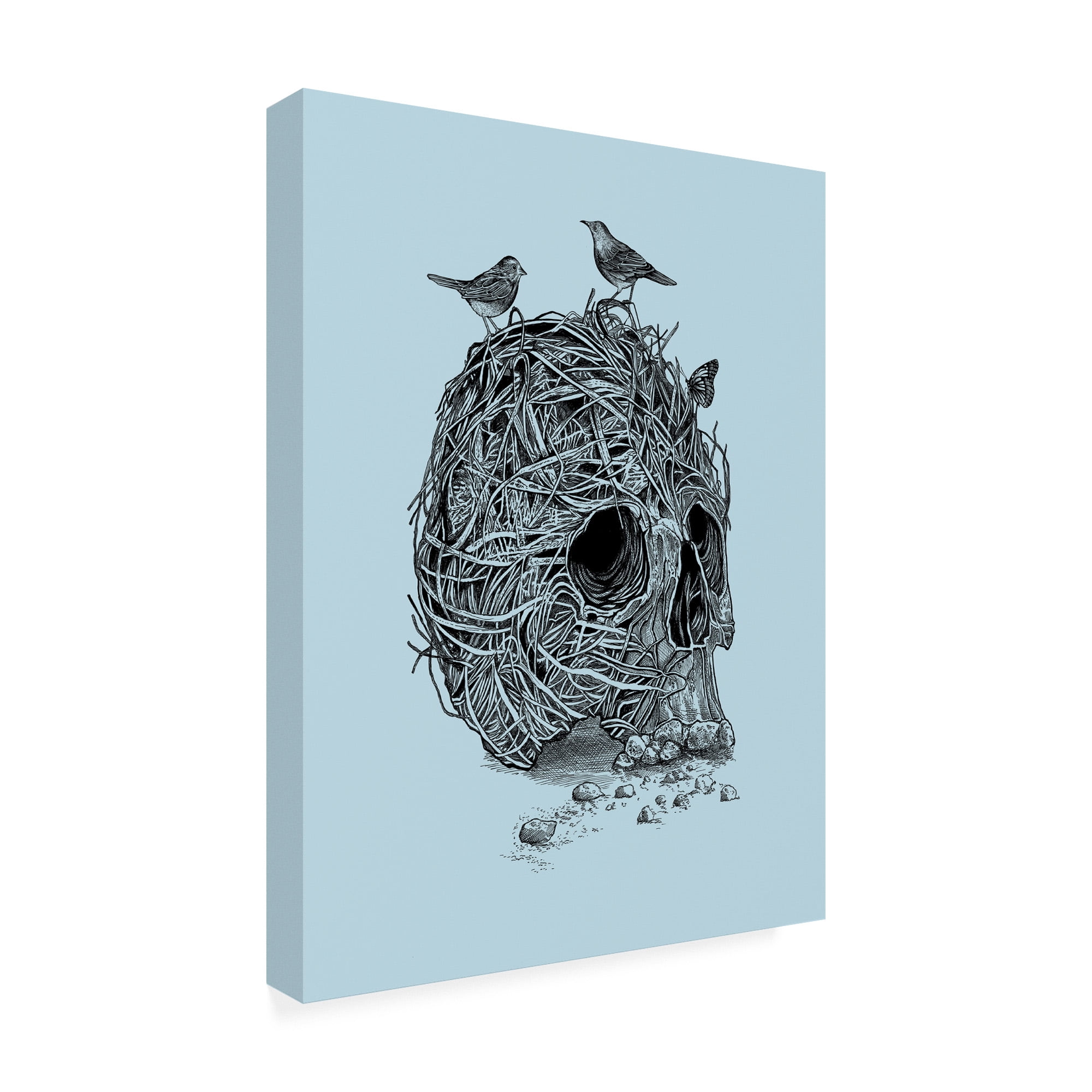 Trademark Fine Art 'Skull Nest Binds' Canvas Art by Rachel Caldwel